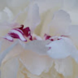 Meet your Posher, Stacey